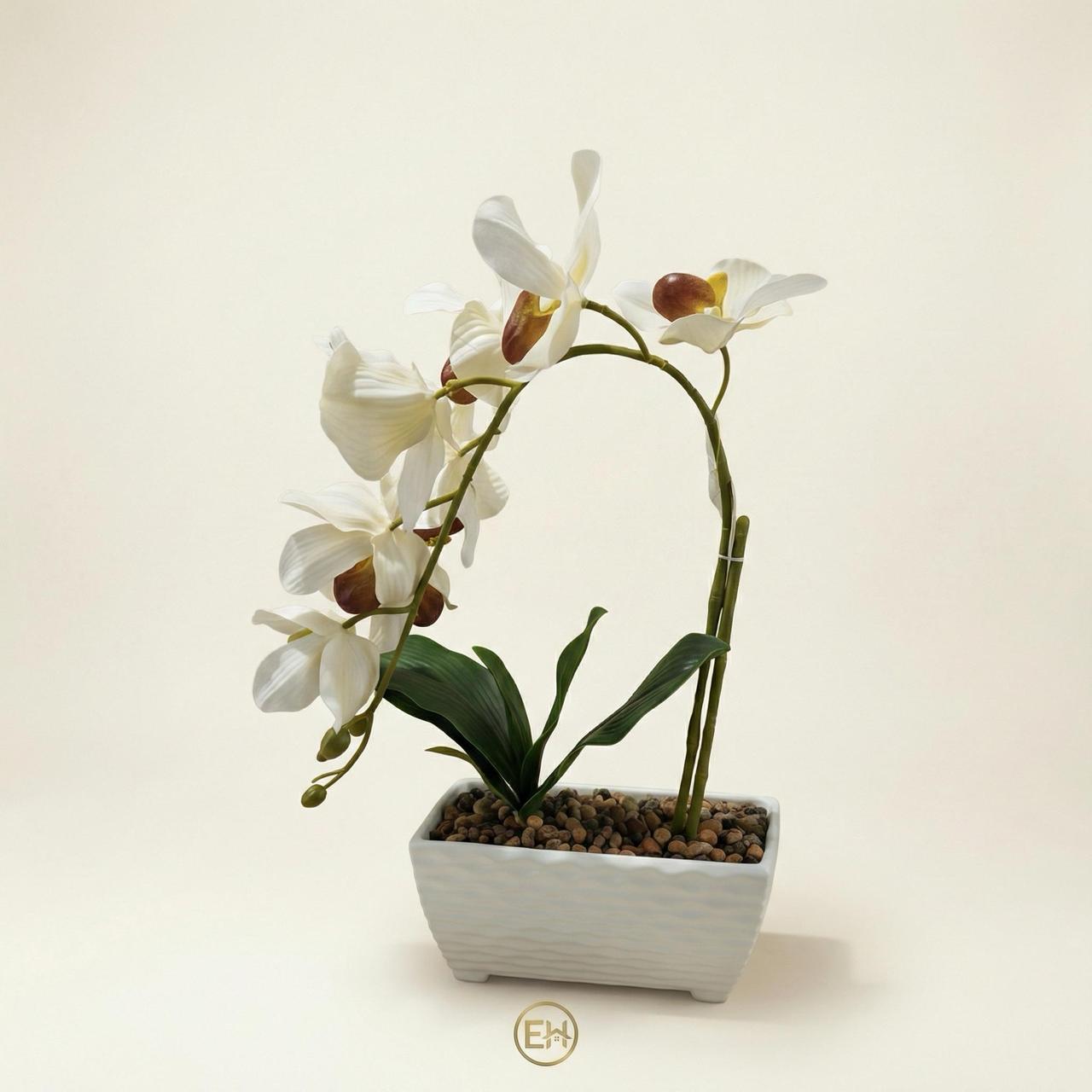 סחלב מלאכותי בסיר קרמיקה|||Искусственная орхидея в керамическом горшке