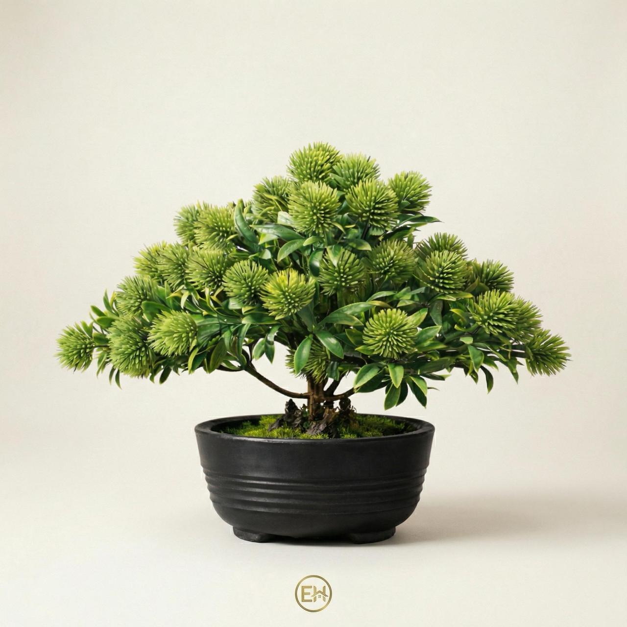 בונסאי ירוק יוקרתי|||Элегантное зеленое бонсай