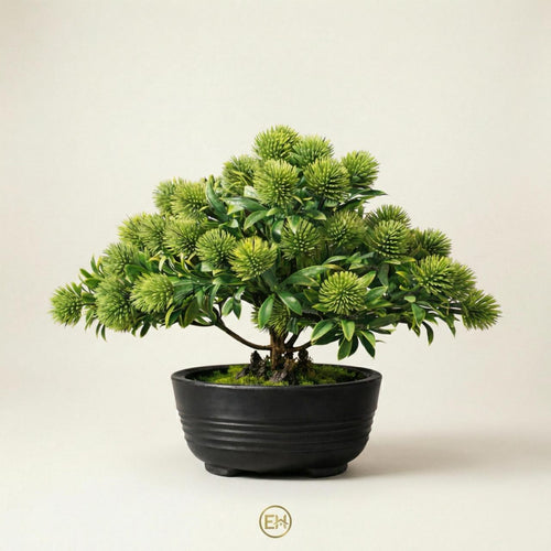 בונסאי ירוק יוקרתי|||Элегантное зеленое бонсай